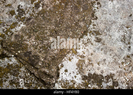 Rough stone surface with moss texture background Stock Photo