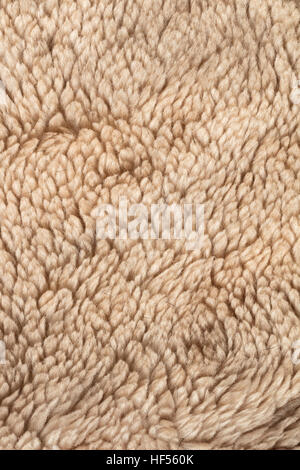 the abstract background texture of natural fur sheepskin Stock Photo