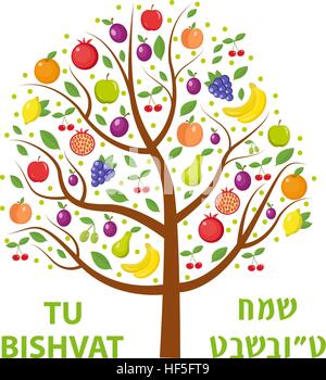 Tu Bishvat greeting card, poster. Jewish holiday, new year of trees. Tree with different fruits, fruit . Vector illustration. Stock Vector