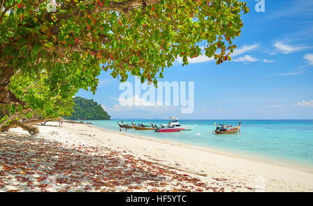 Beach of Koh Rok Island, Krabi Province, Thailand Stock Photo