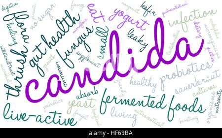 Candida word cloud on a white background. Stock Vector