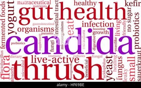 Candida word cloud on a white background. Stock Vector