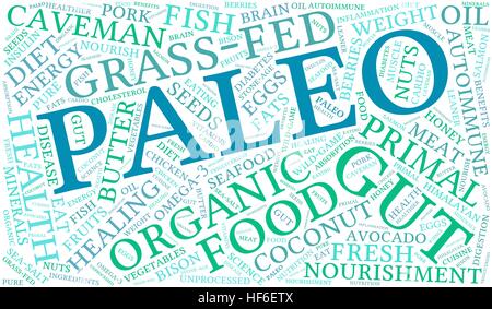 Paleo word cloud on a white background. Stock Vector