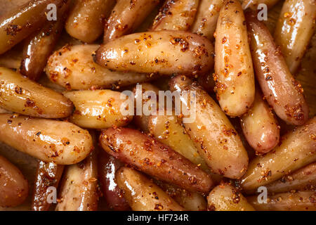 Peeled cooked Chilean pinones pine nuts of the Chilean pine or monkey puzzle tree (lat. Araucaria araucana) Stock Photo