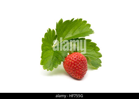 Ripe strawberry with leaves isolated on white background Stock Photo