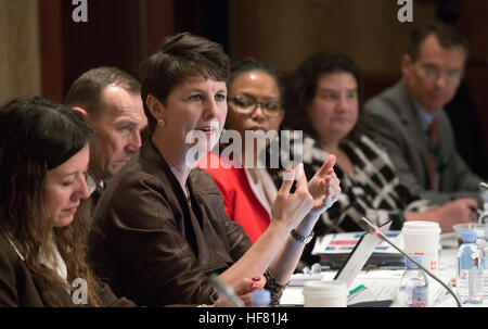 U'S. Customs and Border Protection Executive Assistant Commissioner Brenda B. Smith, Office of International Trade, addresses members of the Commercial Customs Operations Advisory Committee (COAC) in Washington, D.C., Nov. 17, 2016. The COAC  advises the secretaries of DHS and the treasury on commercial operations of U.S. Customs and Border Protection.  by Glenn Fawcett Stock Photo