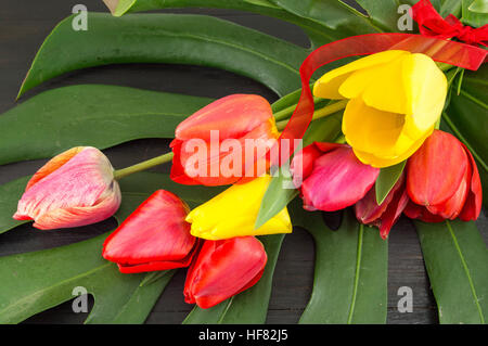 Red and yellow tulips on big green leaf Stock Photo