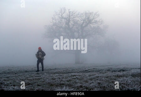 A dog walker in the fog and frost in Windsor Great Park in Berkshire. Stock Photo