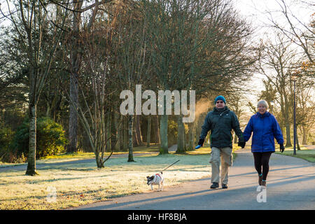 Aberystwyth Wales UK, Wednesday 28 December 2016 UK Weather: People walking aling Plas Crug avenue on a cold and frosty morning in Aberystwyth, after a clear night with temperatures plunging well below zero. Credit: keith morris/Alamy Live News Stock Photo