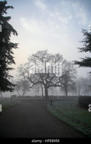 Finsbury Park, North London, UK. 28th Dec, 2016. London woke up to dense fog on very cold and frosty morning in Finsbury Park, North London © Dinendra Haria/Alamy Live News Stock Photo