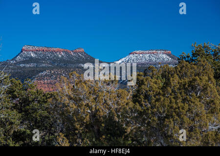 Blanding, Utah - Bears Ears National Monument, which protects 1.35 million acres in southeastern Utah. The national monument is named after two prominent buttes, the Bears Ears, which can be seen throughout much of the region. Credit: Jim West/Alamy Live News Stock Photo