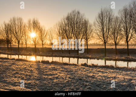 Willingham, Cambridgeshire, UK. 29th Dec, 2016. The sun rises on a frozen Fenland landscape over the Old West River by a line of willow trees grown to make cricket bats. Temperatures dropped to around minus 4 degrees centigrade overnight with a widespread frost and patchy fog at dawn. © Julian Eales/Alamy Live News Stock Photo