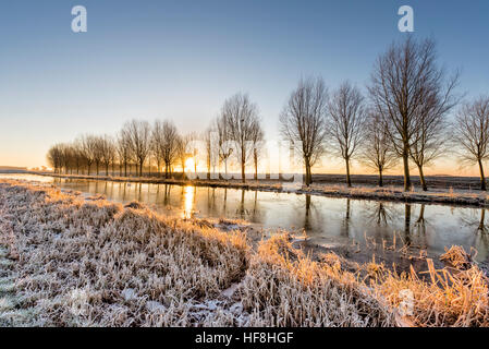 Willingham, Cambridgeshire, UK. 29th Dec, 2016. The sun rises on a frozen Fenland landscape over the Old West River by a line of willow trees grown to make cricket bats. Temperatures dropped to around minus 4 degrees centigrade overnight with a widespread frost and patchy fog at dawn. © Julian Eales/Alamy Live News Stock Photo