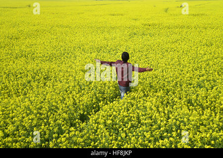 Dhaka, Bangladesh. 28th Dec, 2016. A Bangladeshi man walks in the mustard flower field at Manikganj near Dhaka in Bangladesh. On December 28, 2016 Mustard field in Bangladesh. Mustard is a cool weather crop and is grown from seeds sown in early spring. From mid December through to the end of January, Bangladesh farmers cultivate their crops of brightly coloured yellow mustard flowers that are in full bloom. © Mamunur Rashid/Alamy Live News Stock Photo
