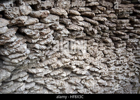 Close up of dry fuel made of cow manure Stock Photo