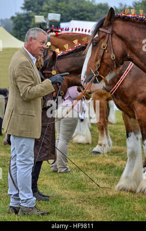 Martin Clunes talking to his horse at Buckham Fair in Dorset, asking him to be a good boy in the show.  Talking to and kissing his horse. Stock Photo