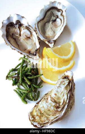 Fresh oysters with seaweed and lemon slices Stock Photo