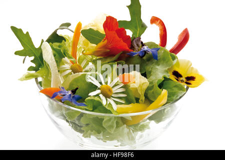 Healthy blossom salad in a glass bowl: lettuce, rockets, nasturtium, daisies, borage blossoms, pansies and capsicum slices Stock Photo