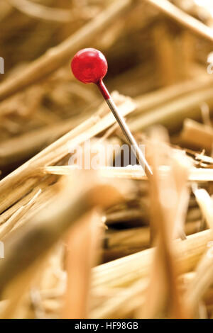 Needle in a haystack Stock Photo