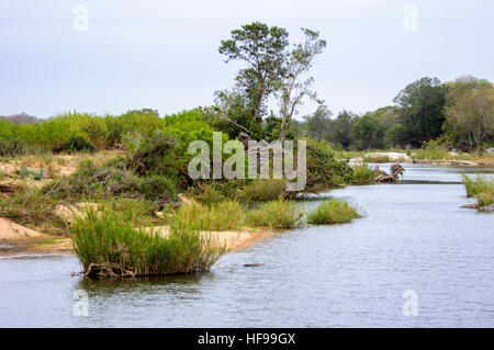 View of the Sand River, Sabi Sands Game Reserve, South Africa Stock Photo