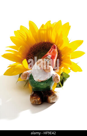 Garden gnome in front of a sunflower Stock Photo