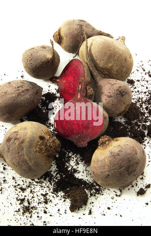 Freshly-harvested beets (Beta vulgaris) Stock Photo