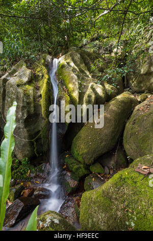 Small waterfall in Masoala, Nosy Mangabe national park with rich biodiversity. Madagascar virgin nature landscape, wilderness scene. Stock Photo