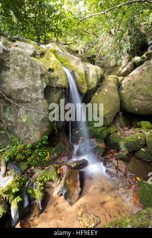 Small waterfall in Masoala, Nosy Mangabe national park with rich biodiversity. Madagascar virgin nature landscape, wilderness scene. Stock Photo