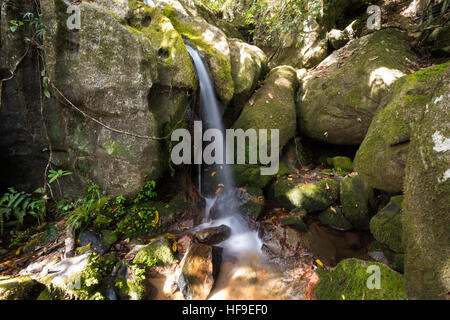 Small waterfall in Masoala, Nosy Mangabe national park with rich biodiversity. Madagascar virgin nature landscape, wilderness scene. Stock Photo