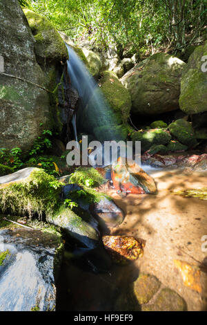 Small waterfall in Masoala, Nosy Mangabe national park with rich biodiversity. Madagascar virgin nature landscape, wilderness scene. Stock Photo