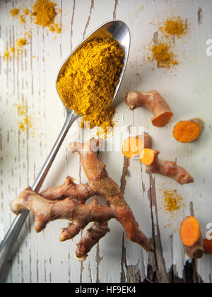 Fresh and powdered turmeric or tumeric root (Curcuma longa) Stock Photo