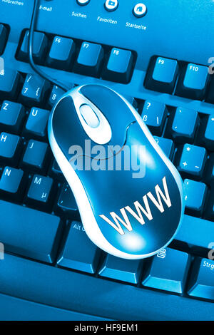 Computer mouse with www lettering and keyboard Stock Photo