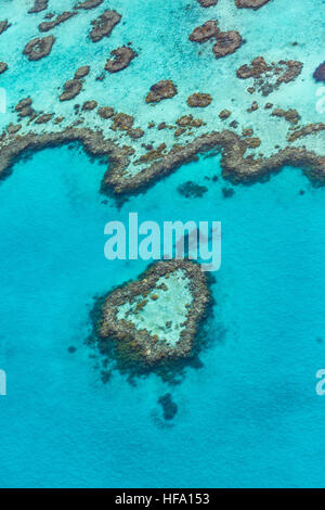 Great Barrier Reef from above, Queensland, Australia Stock Photo