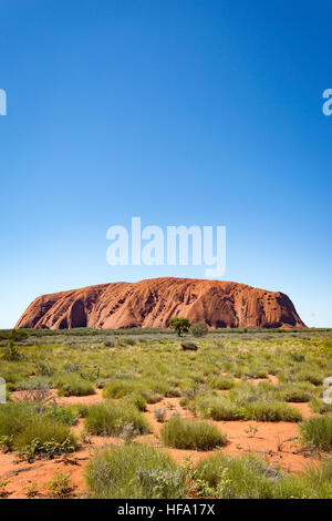 The Ayers Rock or Uluru at the Australian outback. The big red rock in the desert of central Australia. A place for the Aborigines. Since 2020 it Stock Photo - Alamy