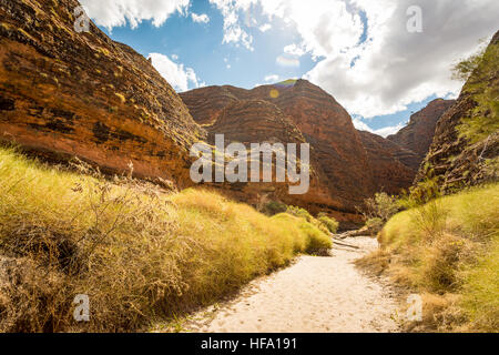 Bungle Bungles, Purnululu National Park, Kimberley, Western Australia Stock Photo