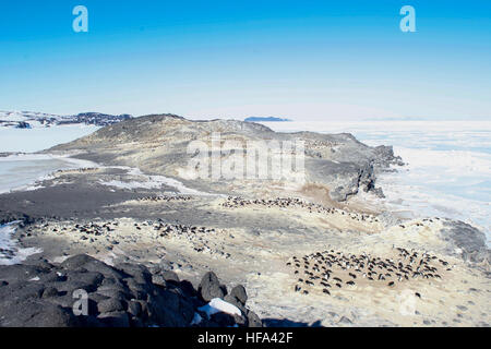 A rookery of Adélie penguins in Cape Royds, Antarctica, as seen on November 11, 2016, by U.S. Secretary of State John Kerry as he conducted a helicopter tour of U.S. research facilities around Ross Island and the Ross Sea, and visited the McMurdo Station in an effort to learn about the effects of climate change on the Continent. Stock Photo