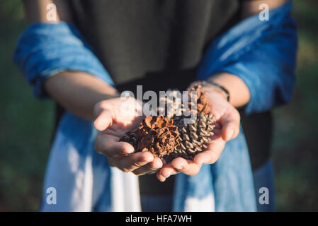 Girl hold pine cones in her hand. Stock Photo