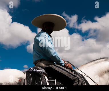 Man riding horse with face in shadows, with a cloudy sky in the background. Stock Photo