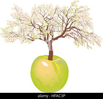 Blossoming new apple Stock Photo