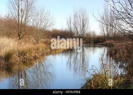 Waterway in Winter - Lincolnshire Stock Photo