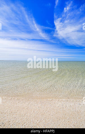 Shell Beach -formed from the billions of mollusc shells- in Shark Bay, Western Australia Stock Photo