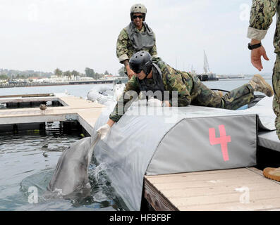 120713-N-FC670-033 SAN DIEGO (July 13, 2012) KOA, an Atlantic bottlenose dolphin, is coaxed onto a transport mat during a Rim of the Pacific 2012 exercise. Twenty-two nations, more than 40 ships and submarines, more than 200 aircraft and 25,000 personnel are participating in RIMPAC exercise from Jun.29 to Aug. 3. The world's largest international maritime exercise, RIMPAC, provides a unique training opportunity that helps participants foster and sustain the cooperative relationships that are critical to ensuring the safety of sea lanes and security on the world's oceans. RIMPAC 2012 is the 23r Stock Photo
