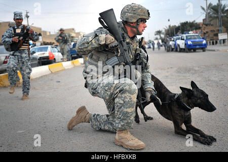 081129-N-1810F-389. FORWARD OPERATING BASE FALCON, Iraq – Staff Sgt. Christopher Ogle, a native of Beaver Creek, Ohio, and military police dog handler, leads his assigned dog, 'Liaka,' a Dutch Shepherd, along streets in the Hadar community during a mission with Company C, 2nd Battalion, 4th Infantry Regiment, attached to the 1st Brigade Combat Team, 4th Infantry Division, Multi-National Division – Baghdad, and Iraqi National Police on a combined security patrol Nov. 29, in southern Baghdad’s Rashid district. (U.S. Navy photo by Petty Officer 2nd Class Todd Frantom, attached to the 1st BCT PAO, Stock Photo