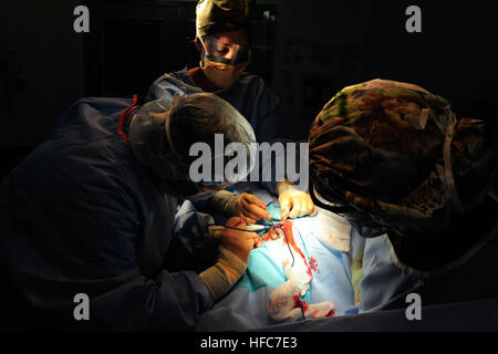 Medical personnel perform surgery on a military working dog at Camp Lemonnier to remove an abscess, demonstrating veterinary support for deployed K-9 units. Stock Photo