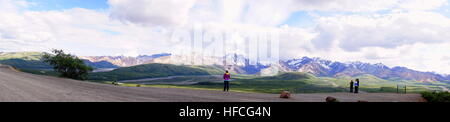 Panoramic scenic view of the Denali (McKinley) National Park/Mountains, Alaska, USA Stock Photo
