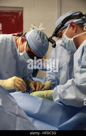 U.S. Army Maj. Jason Hawksworth, left, and U.S. Army Maj. Tyson Becker, right, general surgeons assigned to the 541st Forward Surgical Team (FST) (Airborne), perform emergency surgery on a wounded Afghan National Policeman at Forward Operating Base (FOB) Farah, Nov. 20.  The policeman was treated at FOB Farah by the FST following a targeted Taliban attack that killed a former Taliban who left the insurgency to join the Afghan National Police.  The policeman was treated and medically evacuated for further care.  (U.S. Navy photo by HMC Josh Ives/released) U.S. coalition forces treat Afghan Nati Stock Photo