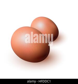 Brown eggs closeup on white background. Stock Vector