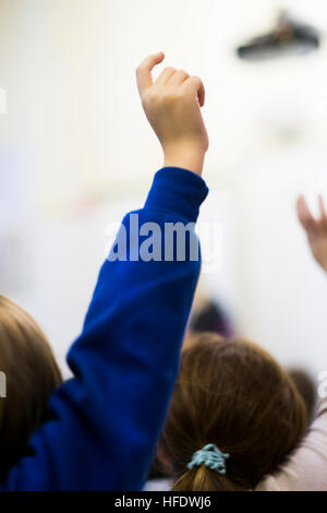 Primary School Education in Wales: Children in a primary school class classroom lesson, Wales UK - a child with a hand in the air answering a question Stock Photo