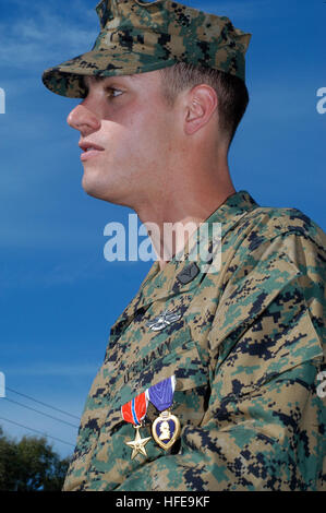 A Hospital Corpsman is awarded the Bronze Star for courage under fire ...