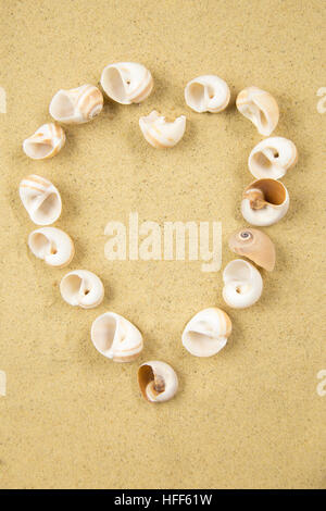 valentine heart made with shells on sand background Stock Photo